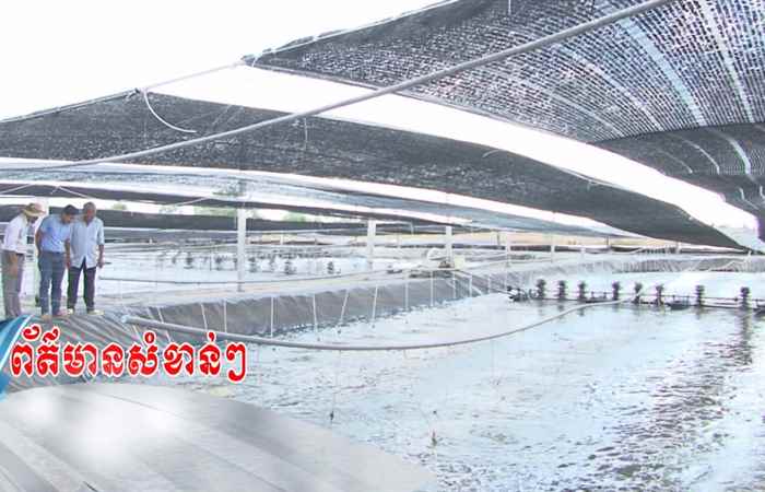 Trợ lực Nhà nông tiếng Khmer 01-04-2020