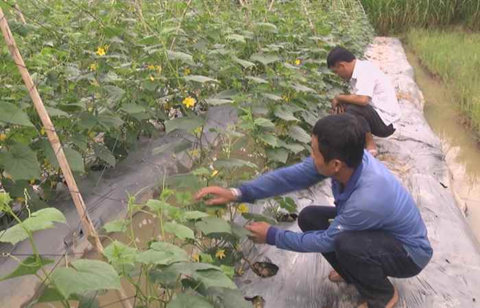 Trợ lực Nhà nông tiếng Khmer 01-05-2019