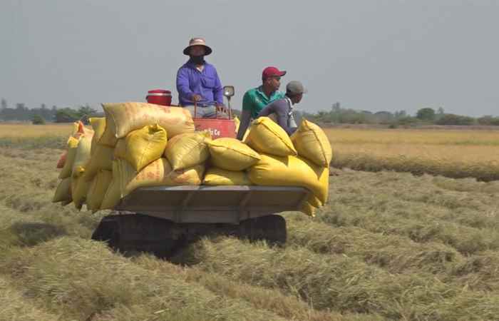 Trợ lực Nhà nông tiếng Khmer (03-03-2021)