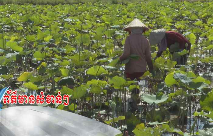 Trợ lực Nhà nông - Tiếng Khmer (03-05-2023)