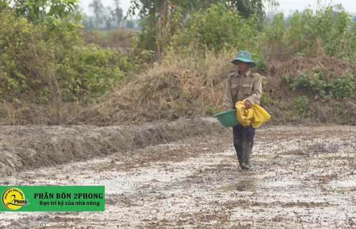 Trợ lực Nhà nông tiếng Khmer (04-11-2020)