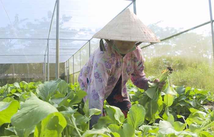 Trợ lực Nhà nông tiếng Khmer 04-12-2019