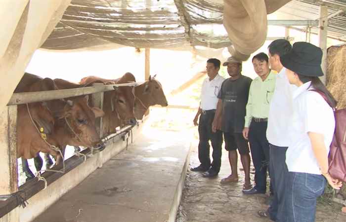 Trợ lực Nhà nông tiếng Khmer (06-04-2022)