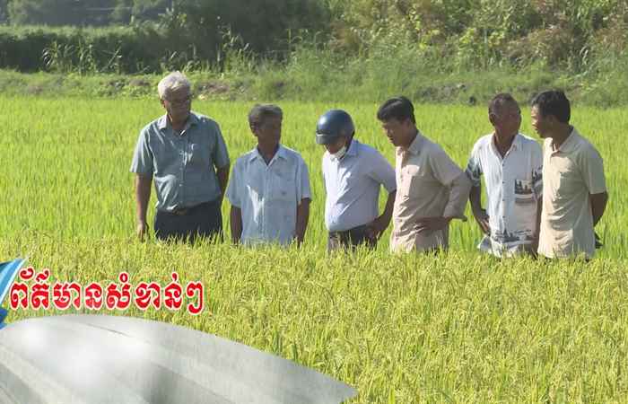 Trợ lực Nhà nông - Tiếng Khmer (07-09-2022)