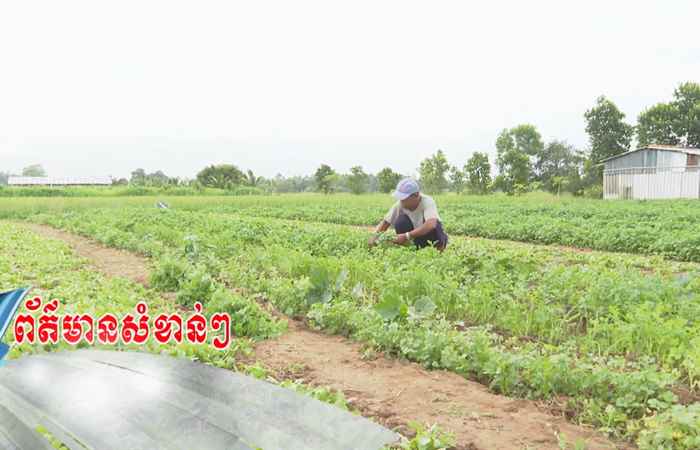  Trợ lực Nhà nông tiếng Khmer (08-02-2023)