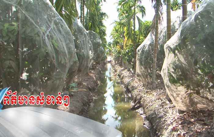 Trợ lực Nhà nông - Tiếng Khmer (08-05-2024)