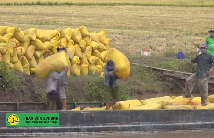 Trợ lực Nhà nông tiếng Khmer (08-09-2021)