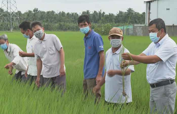 Trợ lực Nhà nông tiếng Khmer (12-04-2023)