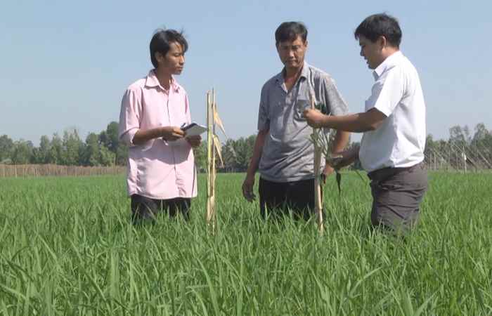 Trợ lực Nhà nông tiếng Khmer 14-11-2018
