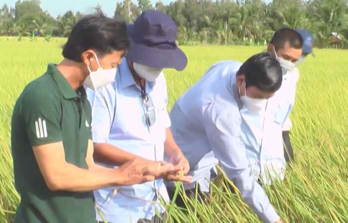 Trợ lực Nhà nông tiếng Khmer (16-03-2022)