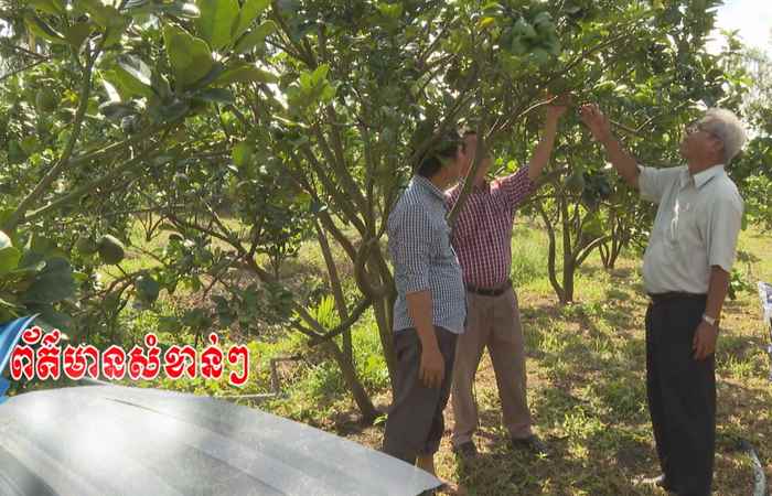 Trợ lực Nhà nông - Tiếng Khmer (16-11-2022)