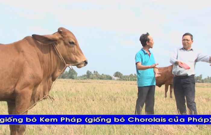 Trợ lực Nhà nông tiếng Khmer (20-05-2020)
