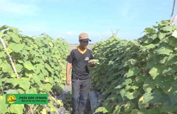 Trợ lực Nhà nông tiếng Khmer (21-04-2021)