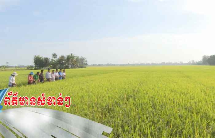 Trợ lực Nhà nông -  Tiếng Khmer (22-02-2023)