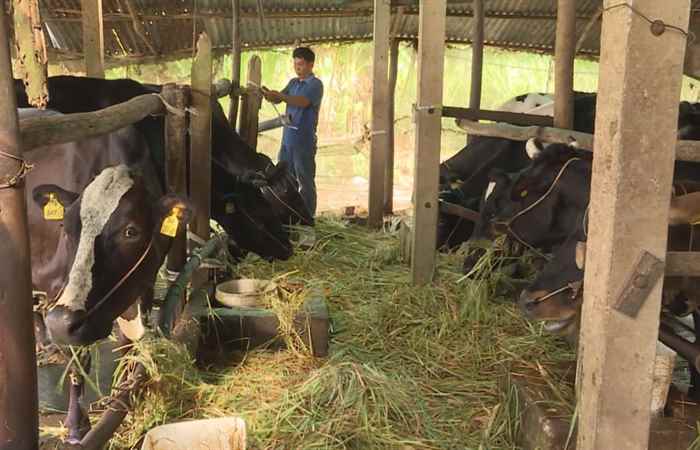 Trợ lực Nhà nông tiếng Khmer 24-04-2019