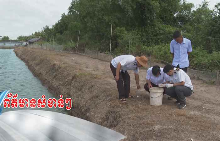 Trợ lực Nhà nông - Tiếng Khmer (26-07-2023)