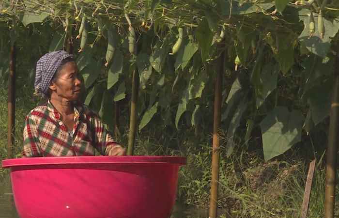 Trợ lực Nhà nông tiếng Khmer (27-01-2021)