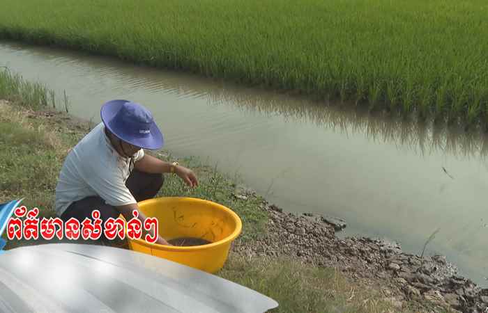 Trợ lực Nhà nông - Tiếng Khmer (27-12-2023)