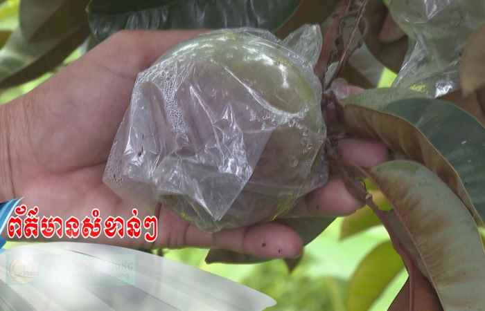 Trợ lực Nhà nông tiếng Khmer (30-06-2021)