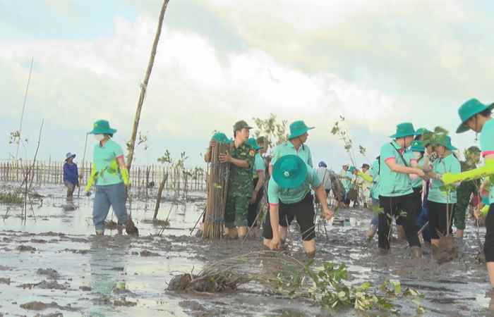 TX. Vĩnh Châu hưởng ứng ngày carbon xanh