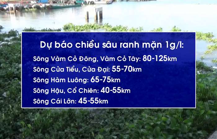 Xâm nhập mặn ở Đồng bằng sông Cửu Long có xu thế giảm dần