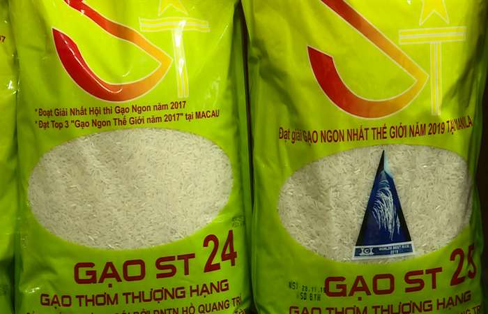 Xuất khẩu gạo sang Châu Âu khởi sắc
