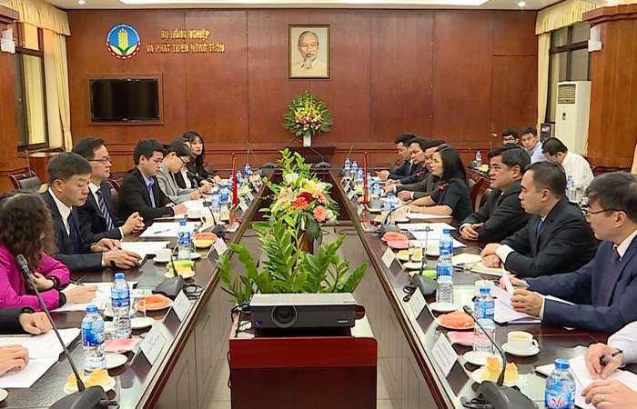 Xuất khẩu sang Trung Quốc phải truy xuất nguồn gốc