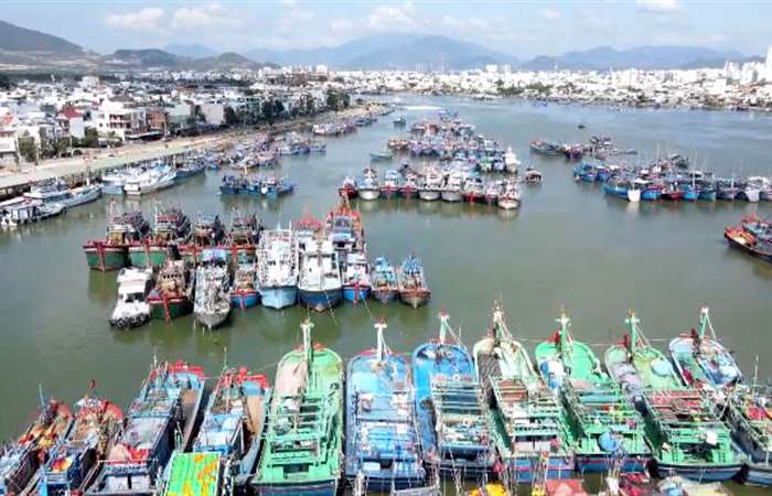EU áp thêm quy định mới với thủy sản Việt Nam