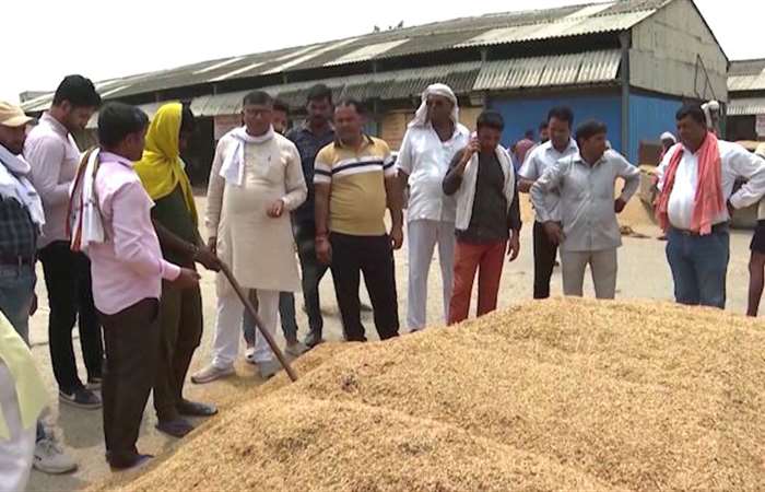 Giá gạo toàn cầu tăng mạnh sau lệnh cấm xuất khẩu của Ấn Độ 