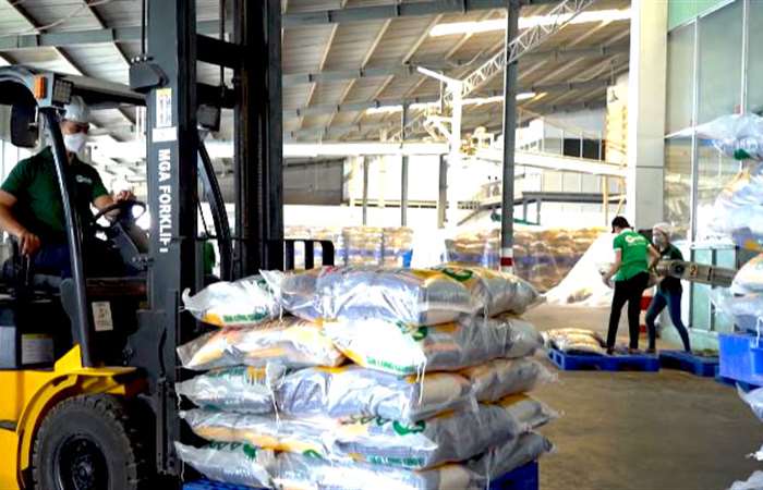 Nguồn cung xuất khẩu gạo sẽ tăng mạnh
