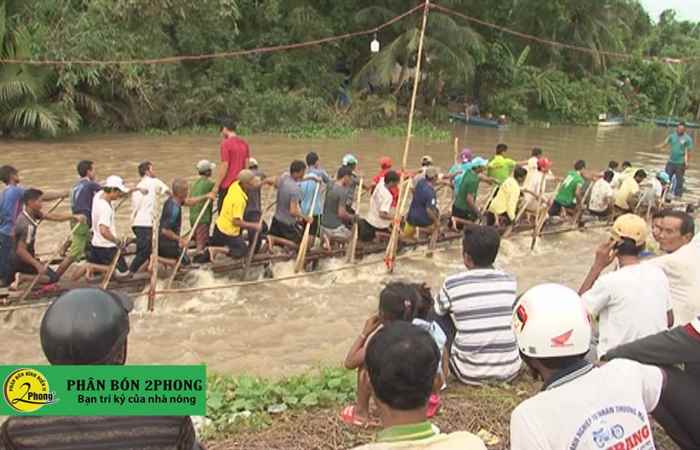 2 đội ghe nam huyện Trần Đề bước vào giai đoạn  nước rút (07-11-2019)