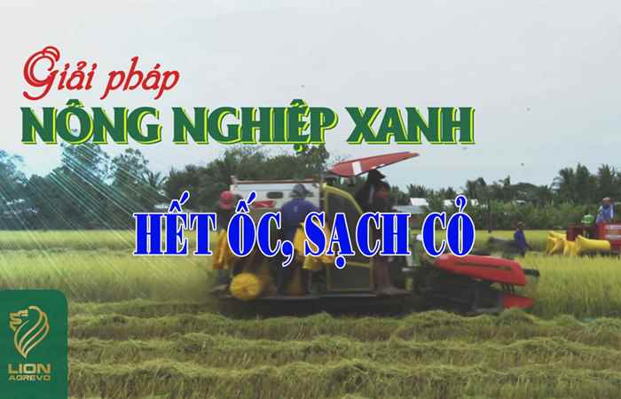 Giải pháp Nông nghiệp xanh: Hết ốc - sạch cỏ (21-10-2024)