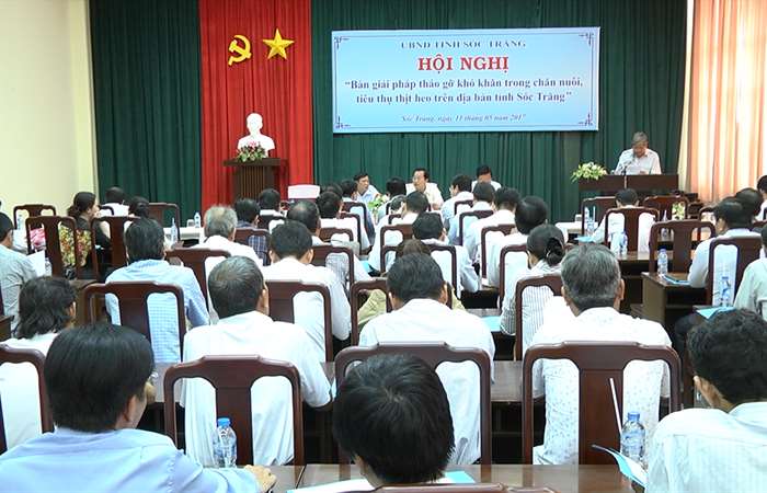 Hội nghị bàn giải pháp tháo gỡ khó khăn trong chăn nuôi, tiêu thụ thịt heo trên địa bàn tỉnh Sóc Trăng