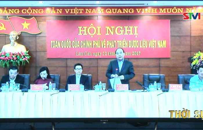 Hội nghị trực tuyến toàn quốc về phát triển dược liệu Việt Nam