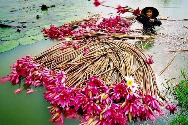 Mùa nước nổi tuổi thơ đã chết tự bao giờ