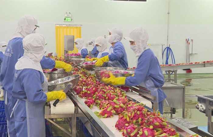 Sóc Trăng ngày mới 28-10-2020