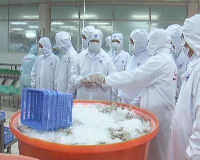 Sóc Trăng tiếp tục hoàn thành mục tiêu phát triển Kinh tế - Xã hội năm 2014