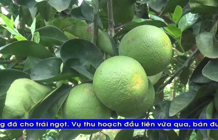 Thời sự Khmer 01-08-2018