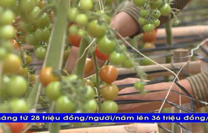 Thời sự Khmer 02-01-2019