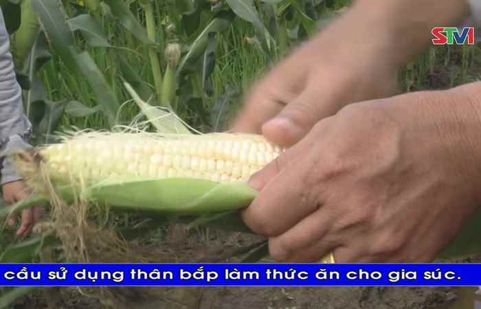 Thời sự Khmer 02-05-2017