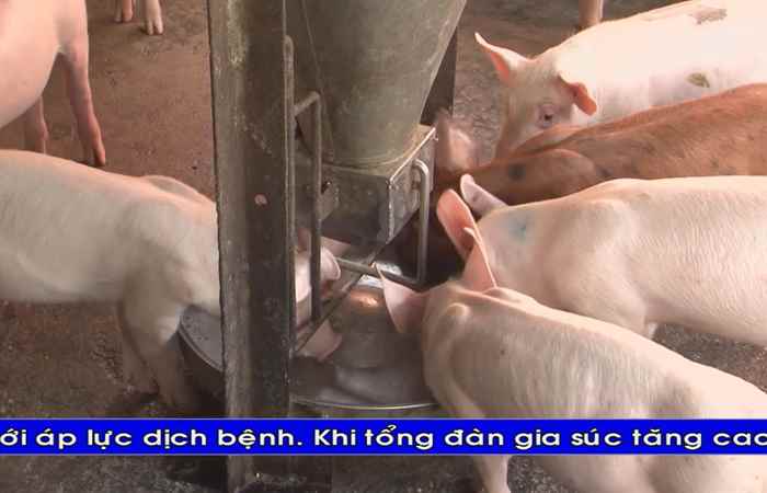 Thời sự Khmer 03-06-2017