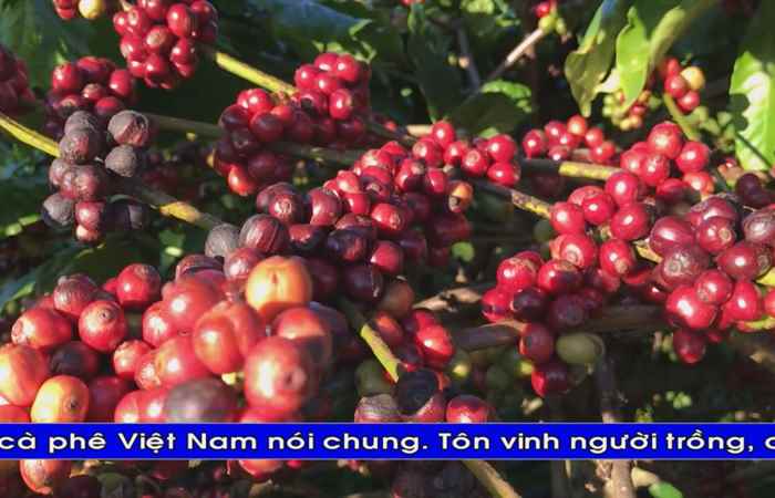 Thời sự Khmer 07-03-2019