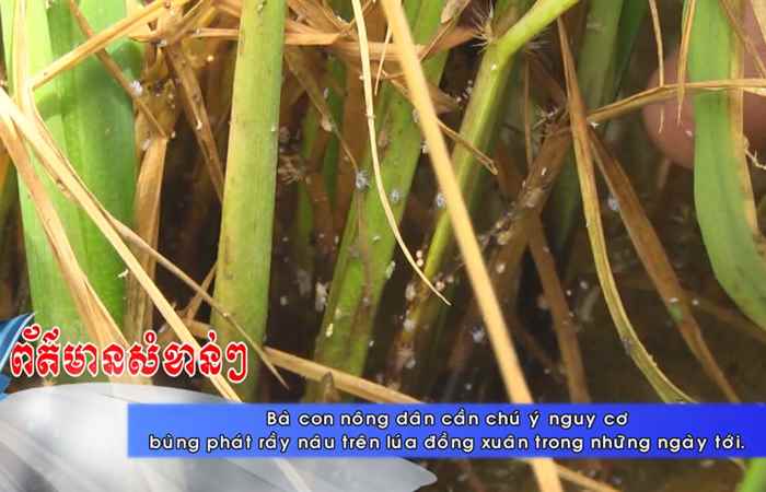 Thời sự Khmer 09-01-2018