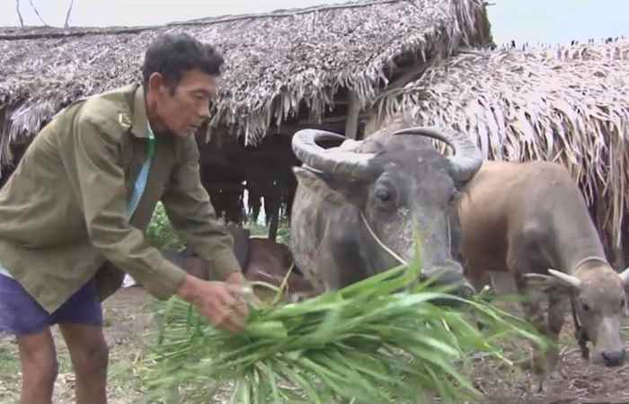 Thời sự Khmer 09-10-2017