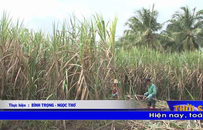 Thời sự Khmer 09-11-2018