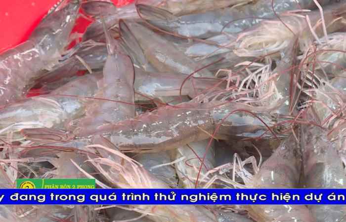 Thời sự Khmer 15-03-2019