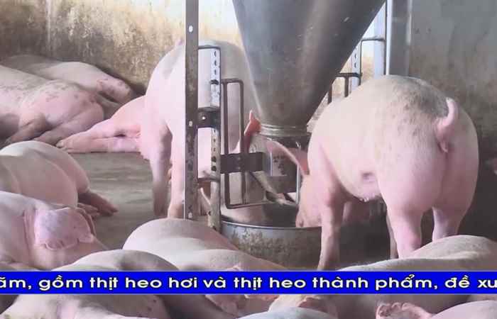 Thời sự Khmer (17-10-2019)