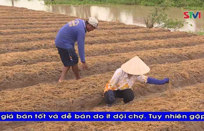 Thời sự Khmer 19-08-2017