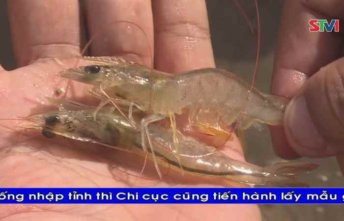 Thời sự Khmer 24-06-2017