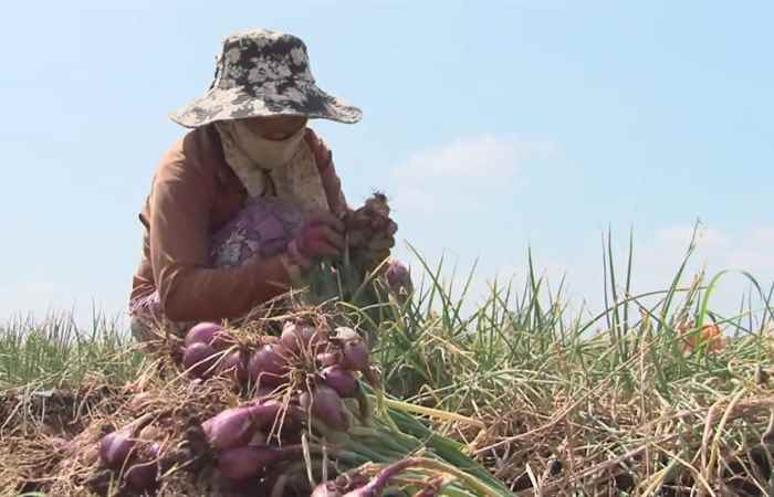 Thời sự Khmer 26-04-2017